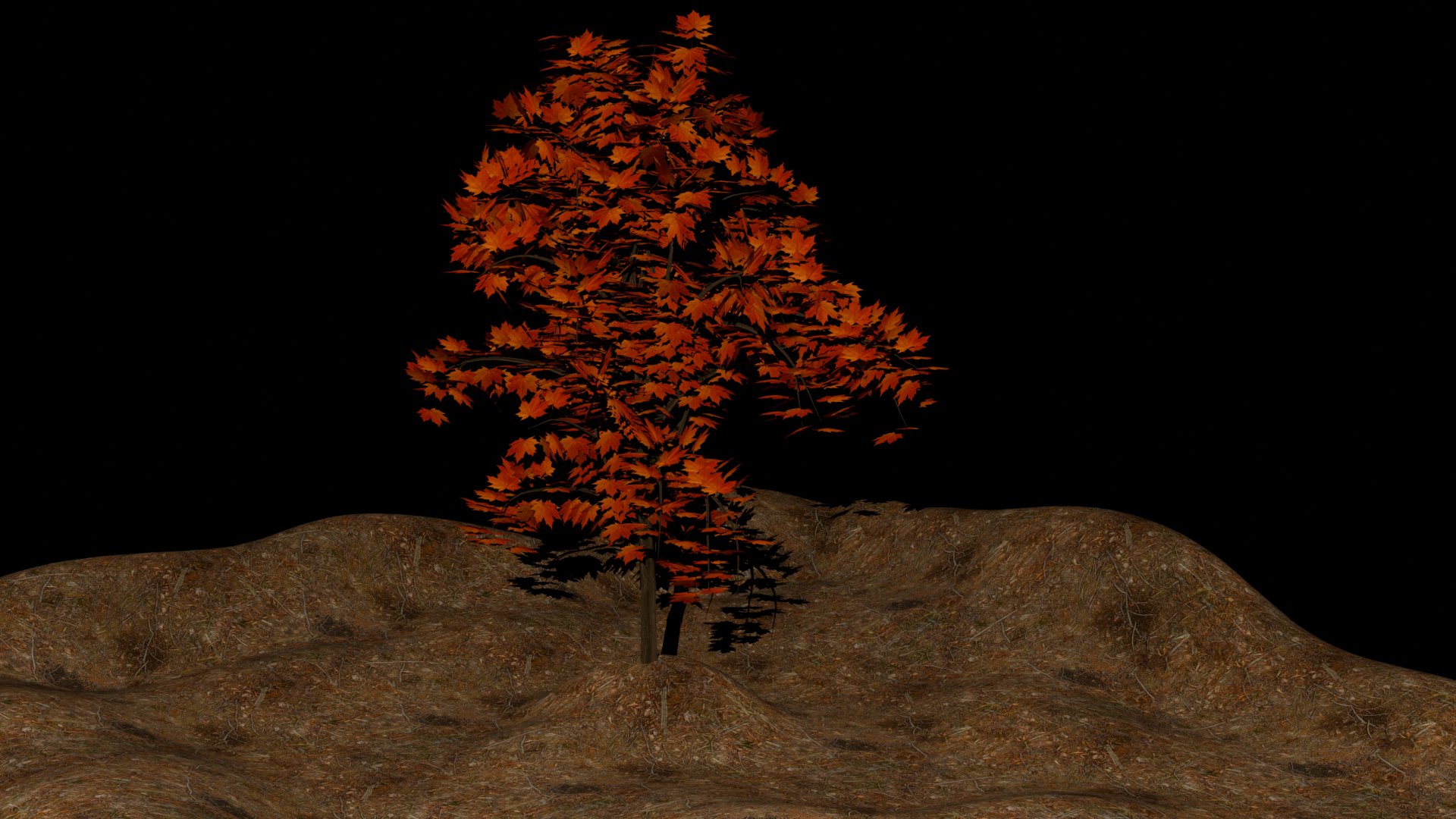 Der erste Baum welcher die Welt mit Leben füllen wird...